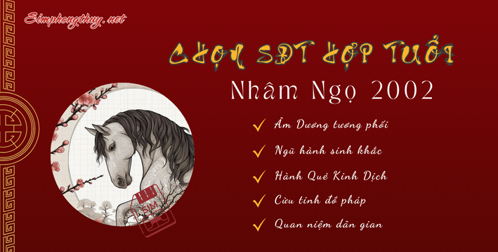 sim hợp tuổi 2002