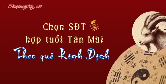 sim hợp tuổi 1991