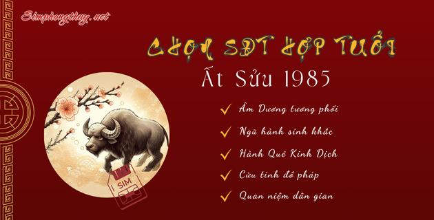 sim hợp tuổi 1985