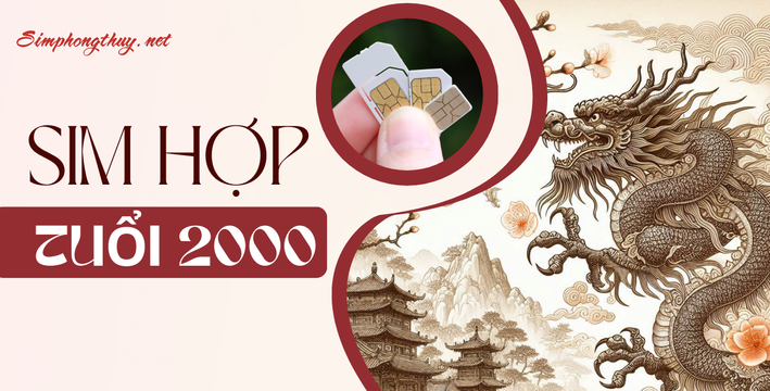 sim hợp tuổi 2000