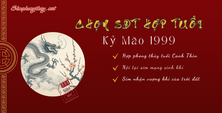 sim hợp tuổi 2000