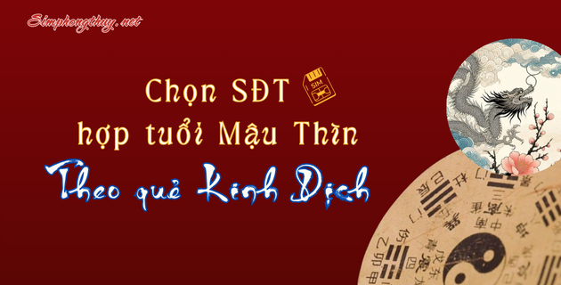 sim hợp tuổi 1988