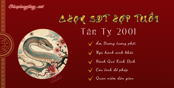 sim hợp tuổi 2001