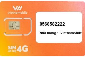 Sim Vietnamobile 0568582222 