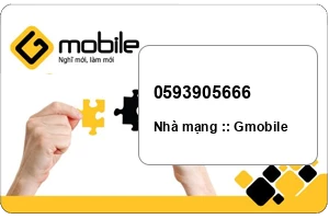 Sim Gmobile 0593905666 