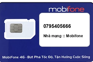 Sim Mobifone 0795405666 