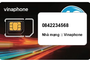 Sim Vinaphone 0842234568 