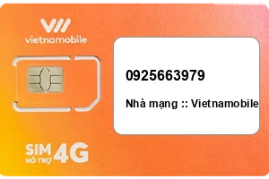 Sim Vietnamobile 0925663979 