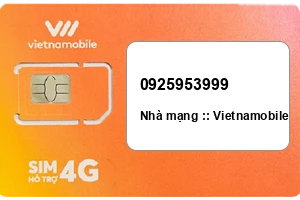 Sim Vietnamobile 0925953999 